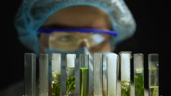 Chemist Observing Reaction in Tubes With Plants, Alternative Fuel Development