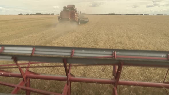 Large Combine Header Mows the Wheat