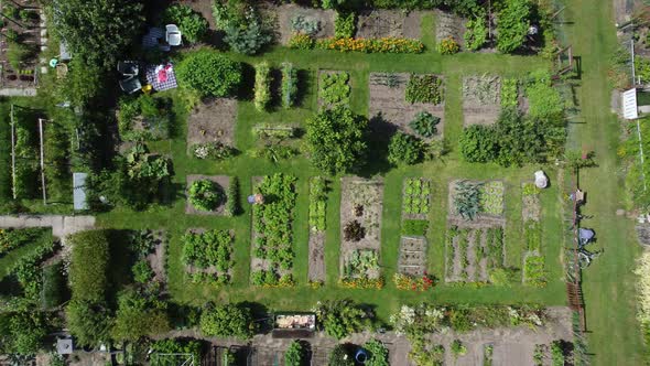 Kitchen garden, vegetable garden Aerial topdown