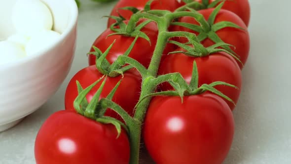 Fresh twig with red sweet vine tomatoes 