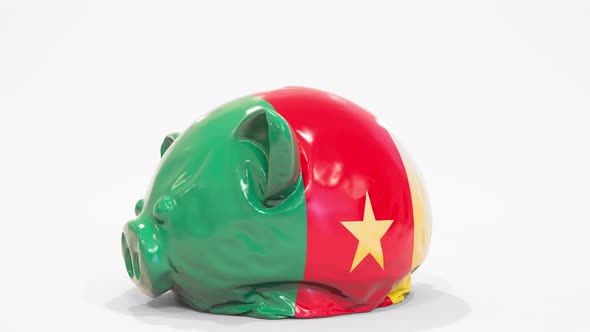 Deflating Piggy Bank with Printed Flag of Cameroon