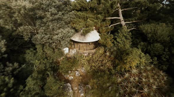 Aerial view of observation shelter on lushly forested mountain