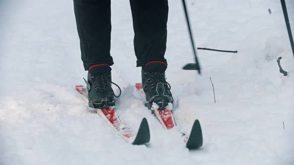 Skiing in the Snowy Woods - Putting Boots on the Ski