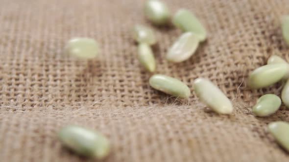 Green verdina beans falling on a rustic rough burlap. Dry uncooked organic legumes