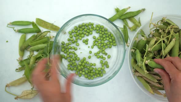 Person shelling home-grown garden pea pods into bowl, top down view