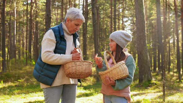 Grandmother and Granddaughter Picking Mushrooms