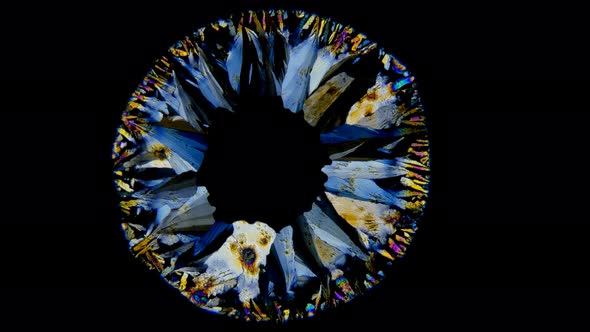 The beautiful formation of crystals under the microscope