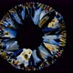The beautiful formation of crystals under the microscope - VideoHive Item for Sale