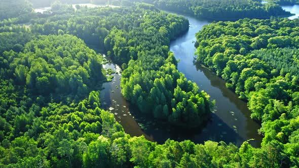 Blue winding river and green forests in Poland