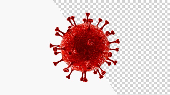 Corona Virus Visualization Covid 19 V1