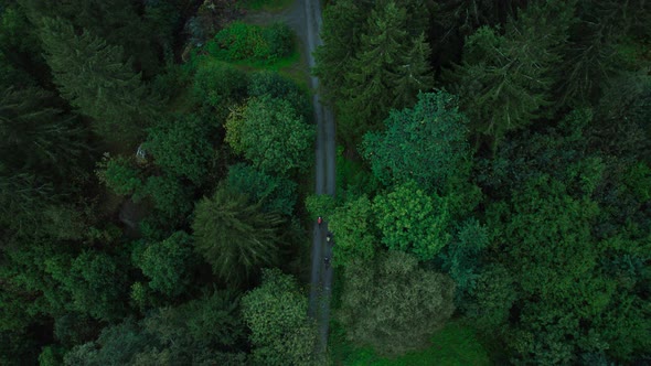 High Aerial Shot of Two Cyclists on Forest Road