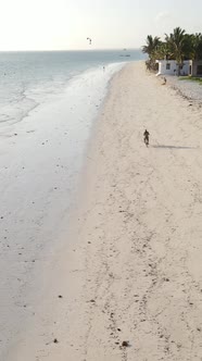 Vertical Video of a Coastal Landscape in Zanzibar Tanzania