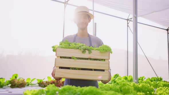 Portrait of Asian male farmer owner work in vegetables hydroponic greenhouse farm with happiness.