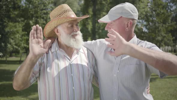 Two Positive Old Men Looking in the Camera Waving Hands in the Park