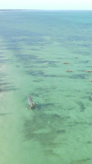 Boat Boats in the Ocean Near the Coast of Zanzibar Tanzania Slow Motion Vertical Video