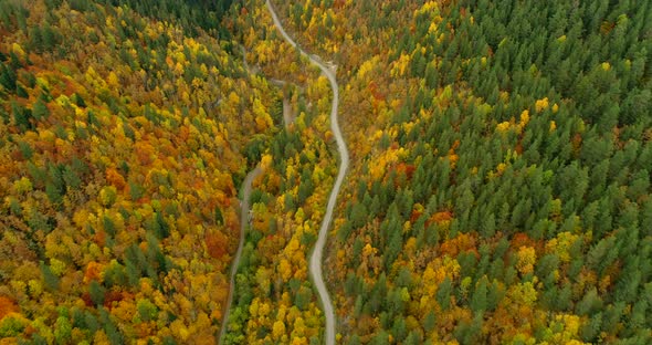 4K Aerial footage of mountain road in beautiful forest at sunset in autumn.