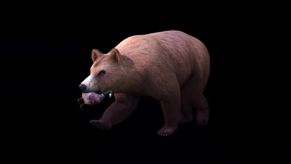 Hunted Duck And Bear - Walk Front Side View alt