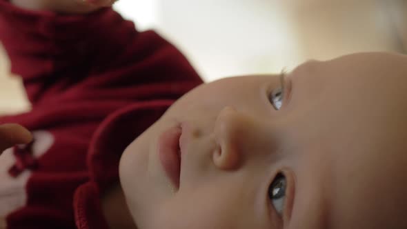 Lovely Child Eating Baby Biscuits