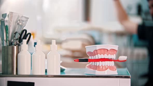 Plastic Model of Jaws with a Toothbrush and Other Things for Working - Man Dentist Doing His Work on