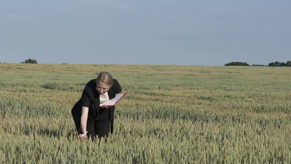 employee of an agricultural firm with notebook checks the quality of wheat in the field