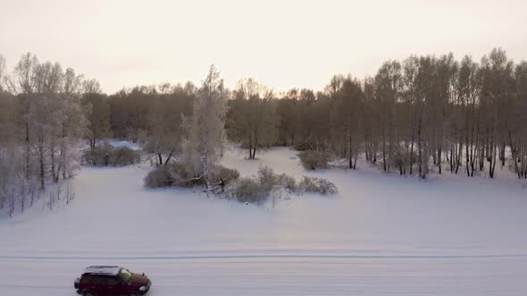 Winter forest next to snowy road 