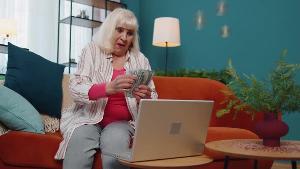 Cheerful Satisfied Elderly Grandmother Freelancer Woman Pressing Button on Laptop and Counting Money