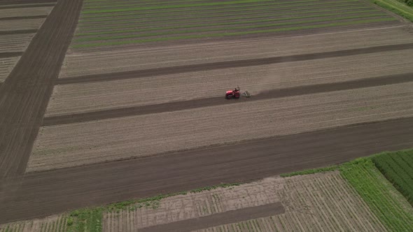 Agricultural Red Small Tractor in the Field Plowing Works in the Field