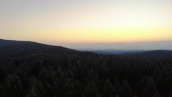 Aerial clip over a forest in the Bavarian Alps area, during sunrise. Direct backlight from the sun,