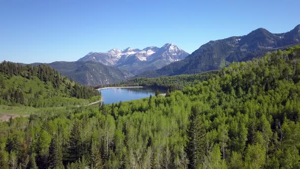 Aerial view of lake surrounded by green forest