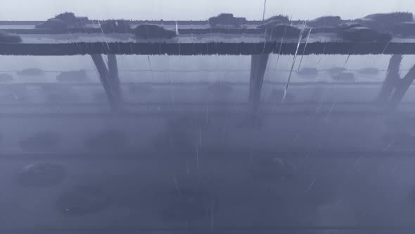 4K City Traffic and Rain alt