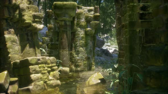 Stone Ruins in a Forest, Abandoned Ancient Castle