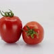 Tomato Rotation Loop - VideoHive Item for Sale