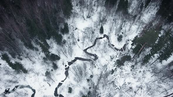Aerial view of a wild winter forest. Flying over the frozen river and endless winter forest