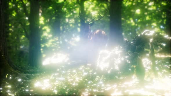 Great Red Deer in a Green Forest alt