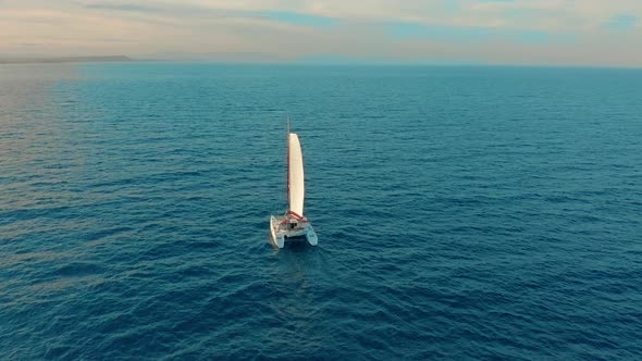 Catamaran Sailing on the Sea. Aerial Shoot of the Catamaran Sailing in the Wind