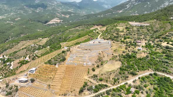 Farmers build an avocado garden in the mountains aerial view 4 K