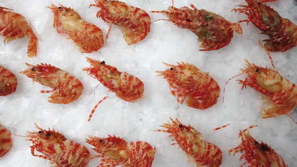 Sea Prawns on Ice.