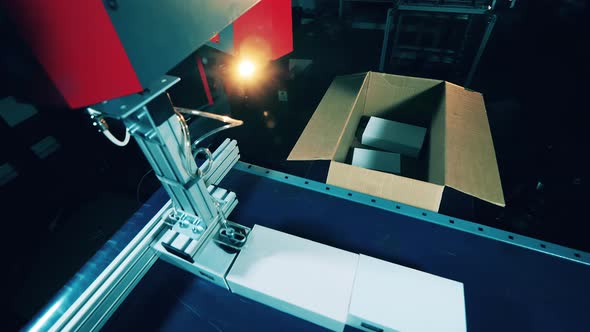 Robotic Tool Is Packing Parcels Into a Carton Box