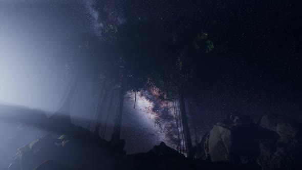 Astro of Milky Way Galaxy Over Tropical Rainforest