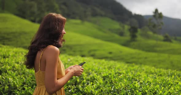 Traveler Woman With Smartphone During Her Travel on Famous Nature Landmark Tea Plantations in Sri