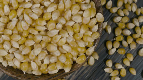 Corn Kernels Display