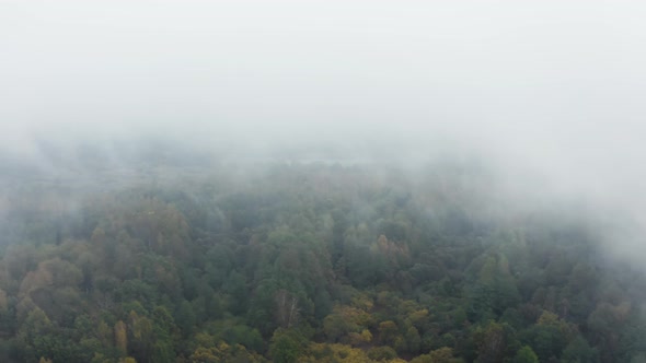 Drone Flies Through Low Rain Clouds Moving Over Fall Colors Treetops of Woodland. Autumn Forest
