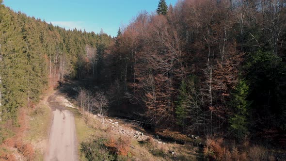 Aerial view of a river and a road in middle of leafless, foliage forest, sunny, autumn day - rising,