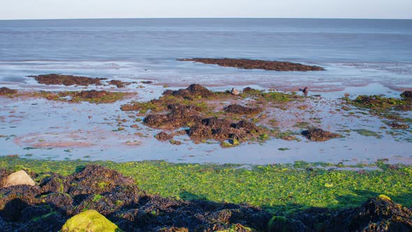 Dutch sea dike low ebb tide timelapse