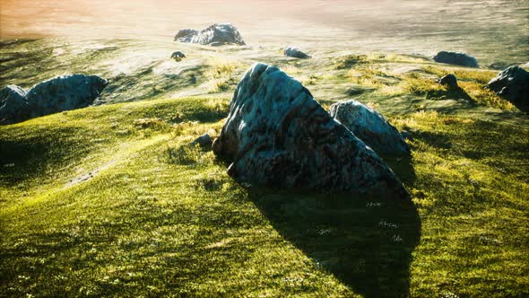 Alpine Meadow with Rocks and Green Grass