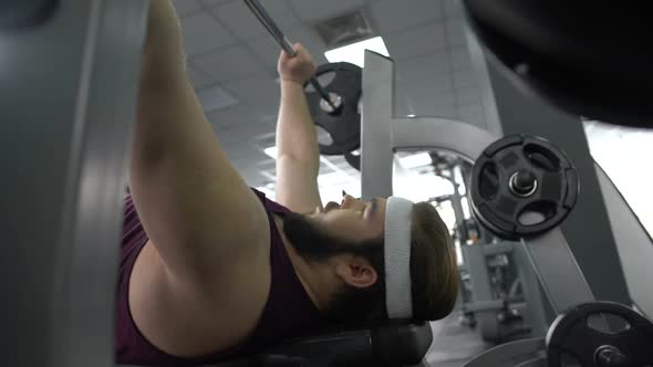 Purposeful Fat Man Lifting Gym Barbell Lying on Bench, Body Workout Program