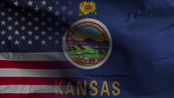 Kansas State Usa Mixed Flag 4K