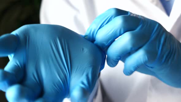 Man Doctor Wears Medical Gloves, Close Up