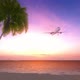 Airplane Flying Over Tropical Palm Tree And Sunset Sky - VideoHive Item for Sale