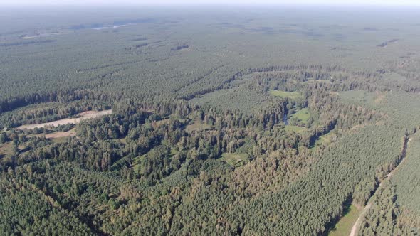 Drone over Augustow Primeval Forest in Poland